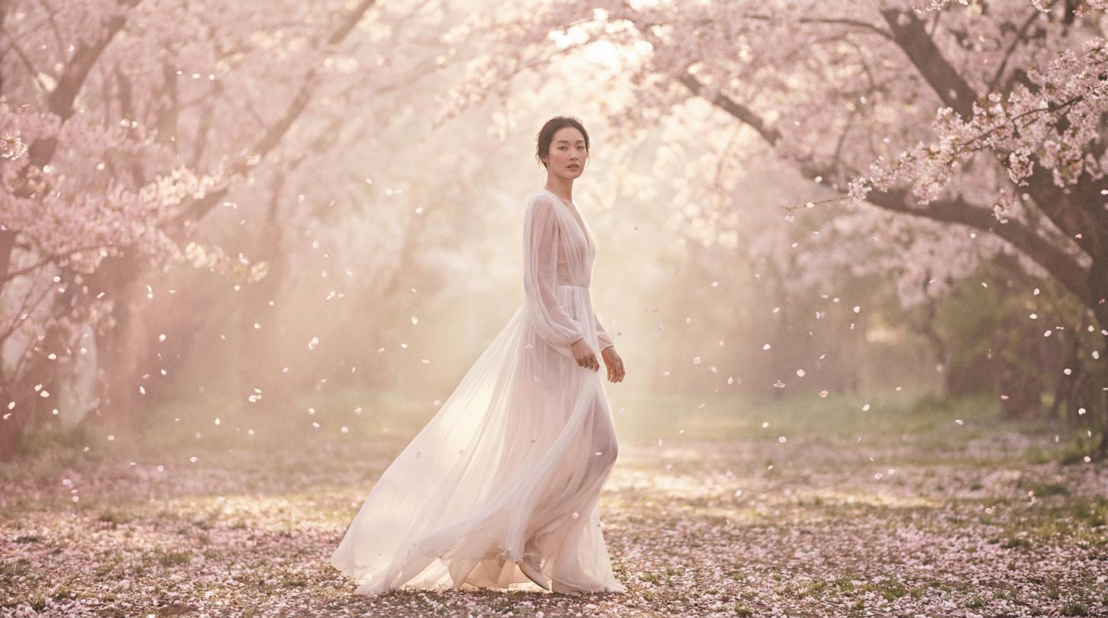 抖阴樱花季唯美视频
